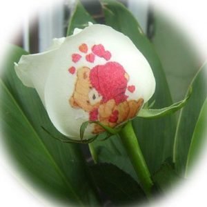 Regalos para el dia de la madre originales
